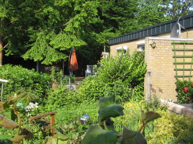Ferienhaus "Pusteblume" Bad Zwischenahn Zewnętrze zdjęcie